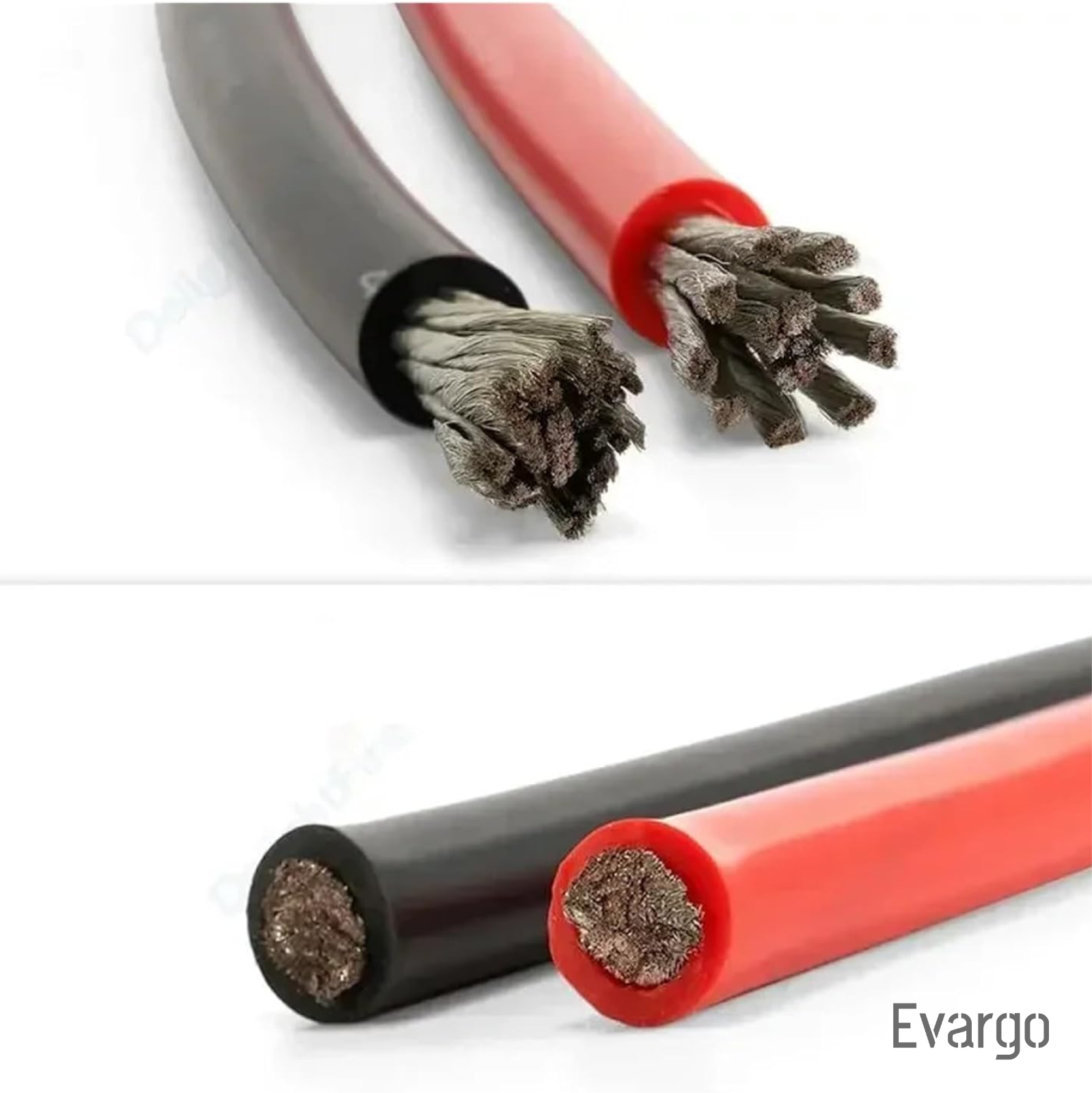 Evargo image 4a1eaac9d2ba4c38