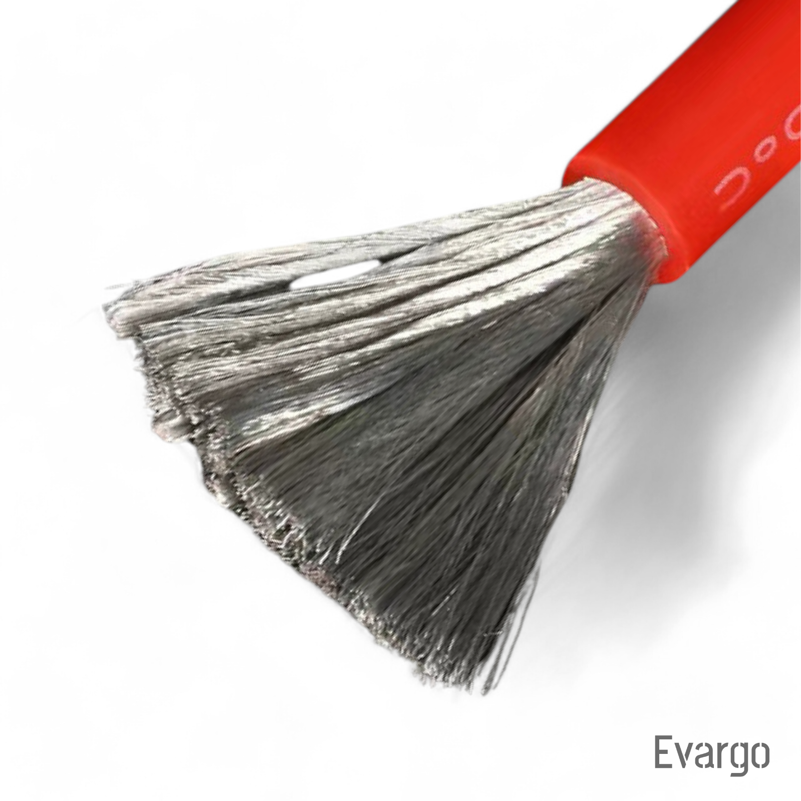 Evargo image 9797c312c5fdfea9